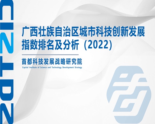 可爱摸逼到操死你视频【成果发布】广西壮族自治区城市科技创新发展指数排名及分析（2022）